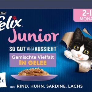 81HMTlX6o1L. AC SL1500 .jpg