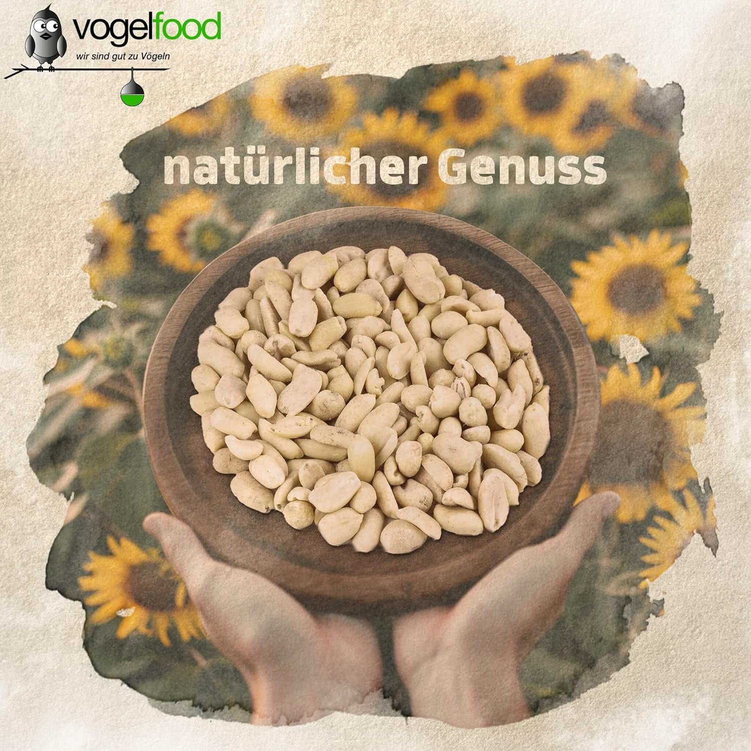 81HOE0HrhKL. AC SL1500 .jpg