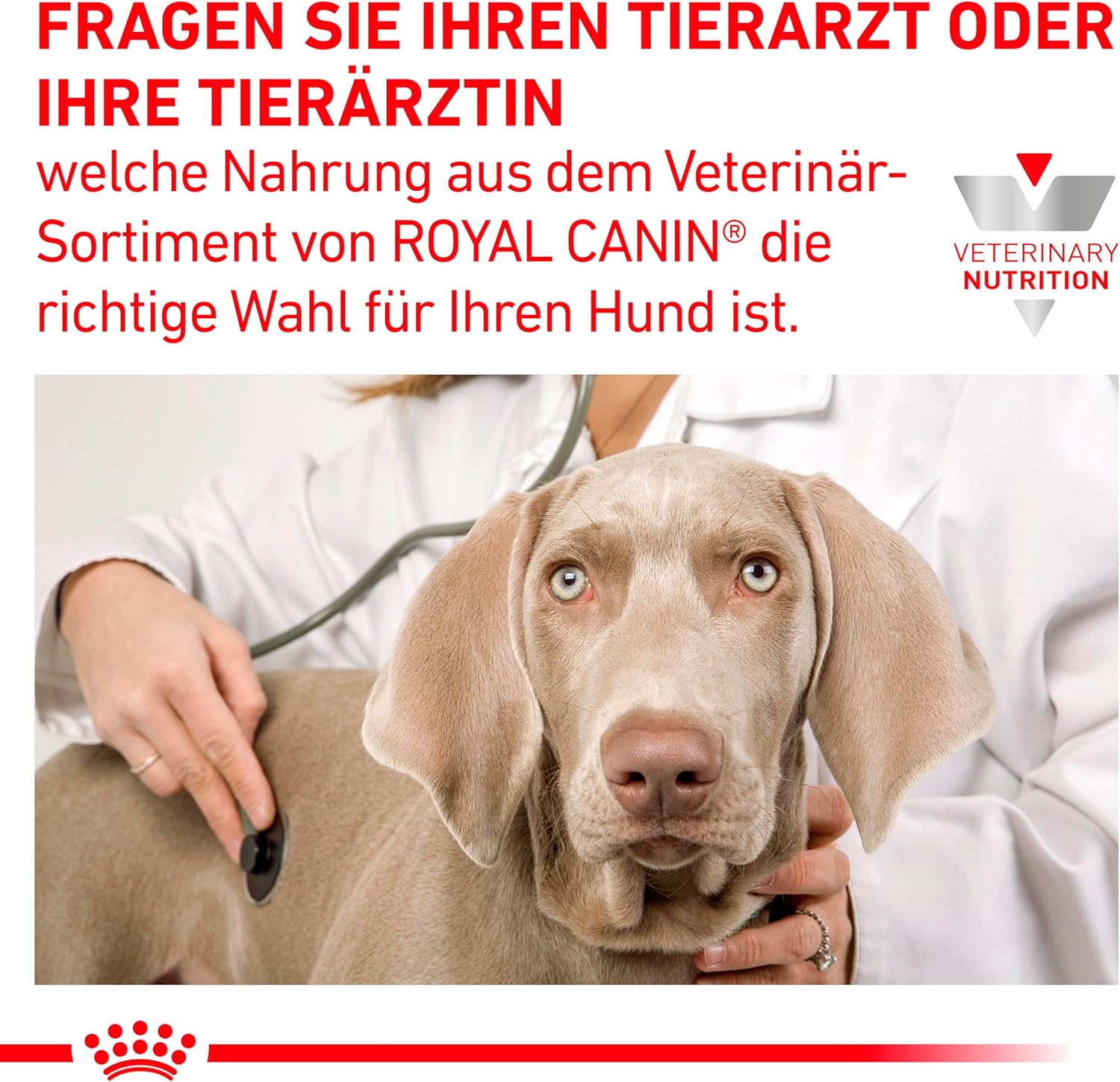 81HjP8n6Y5L. AC SL1500 .jpg