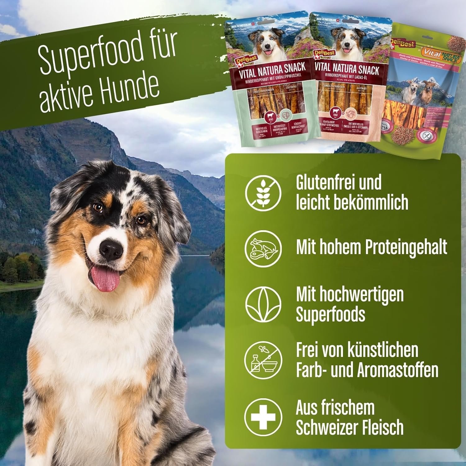 81HtuVufWzL. AC SL1500 .jpg