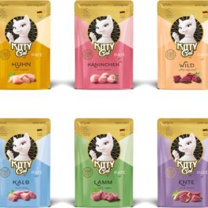 81HvKvOQ2sL. AC SL1500 .jpg