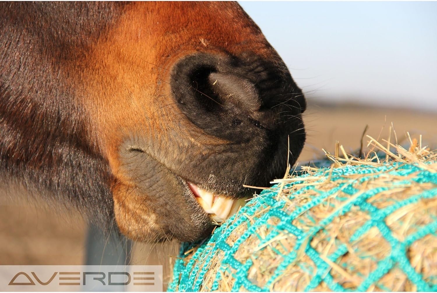 81I5b5bRdGL. AC SL1500 .jpg