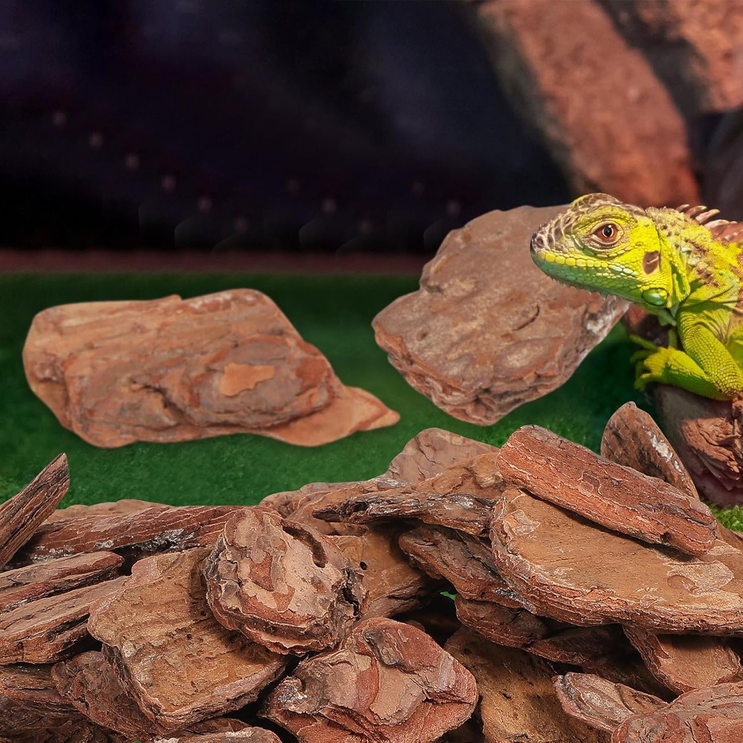 81IUZkmSq0L. AC SL1500 .jpg