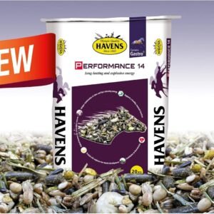 81J0qdw9J0L. AC SL1500 .jpg