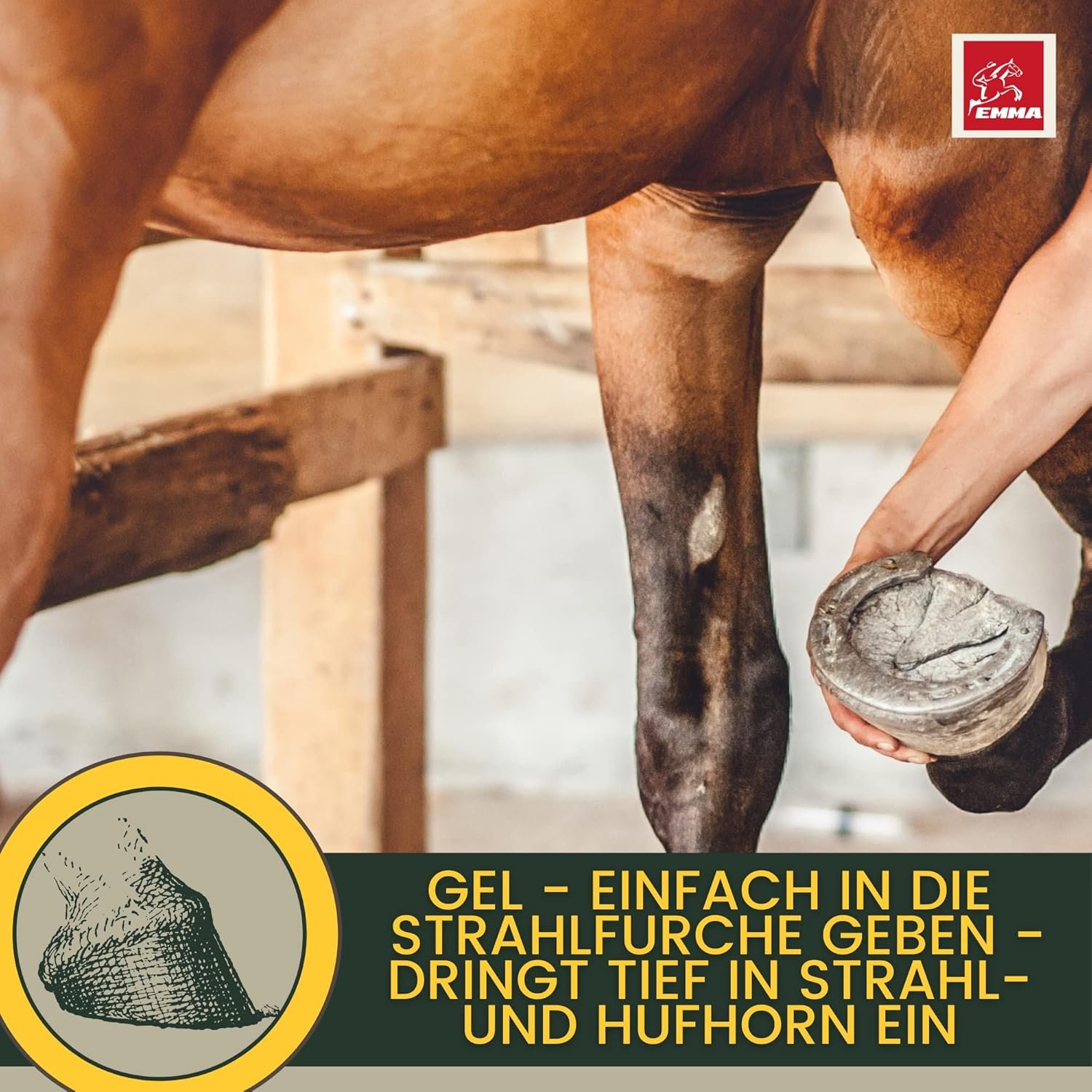 81J7ormziyL. AC SL1500 .jpg