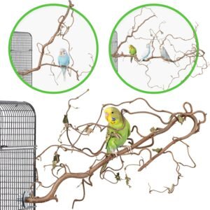 81K6n7wu5NL. AC SL1500 .jpg