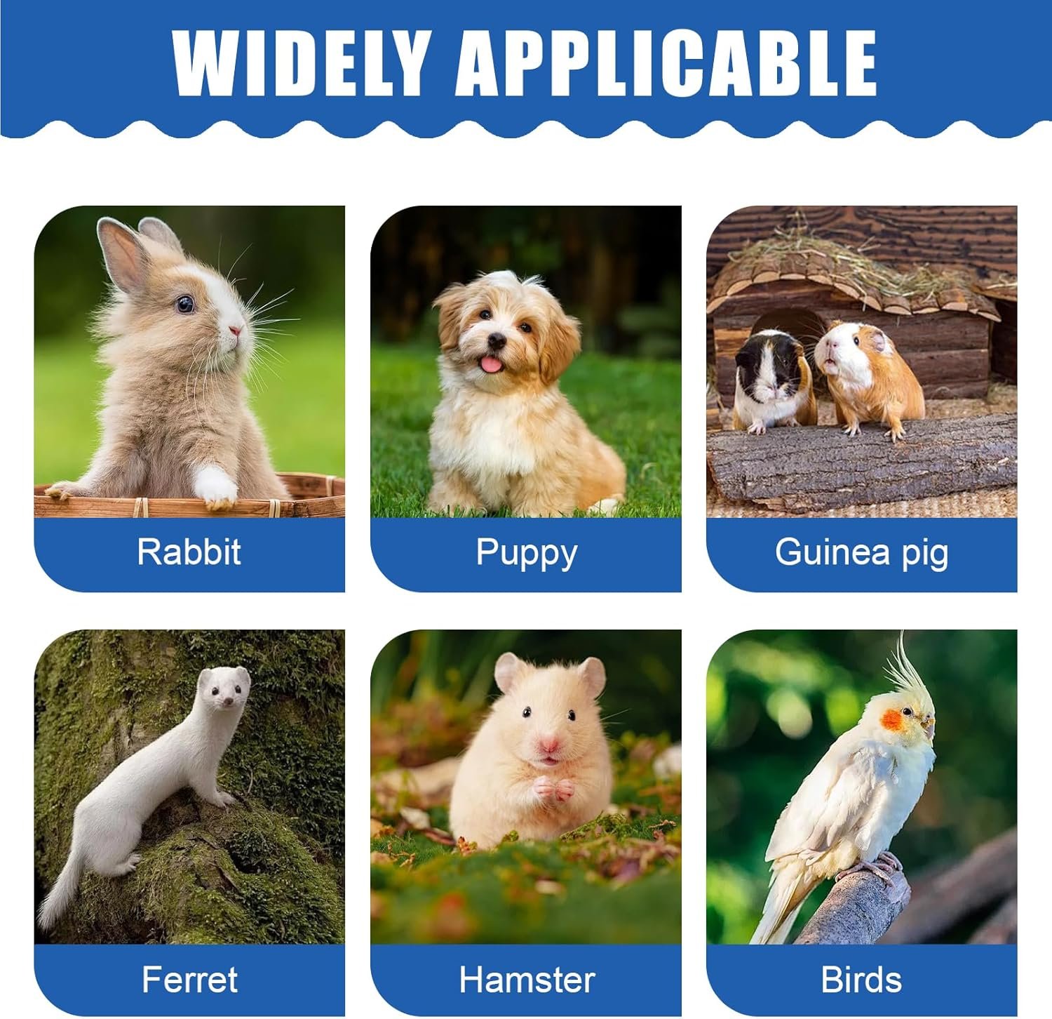 81KS1yzSAEL. AC SL1500 .jpg