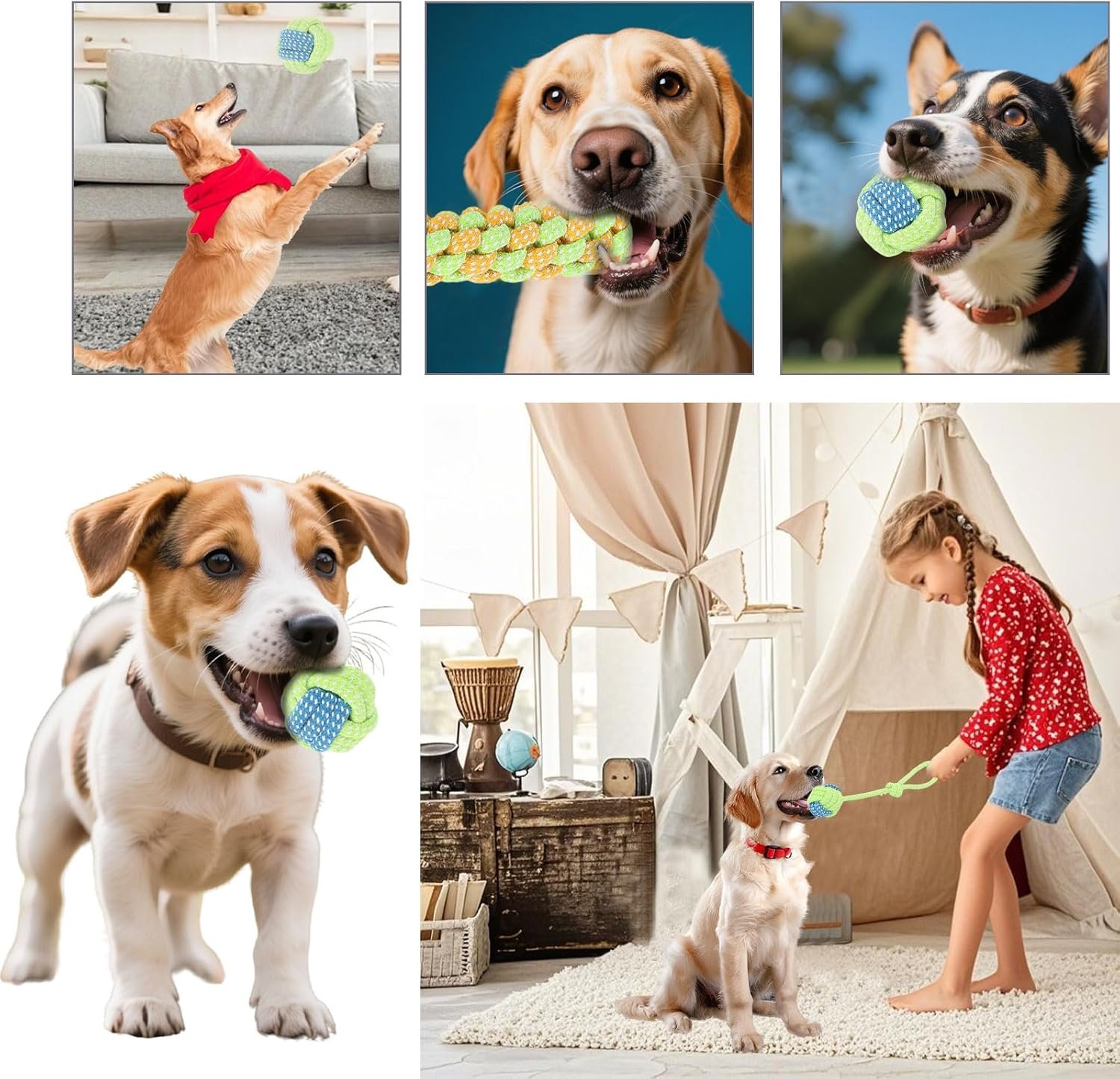 81L1rhM68YL. AC SL1500 .jpg