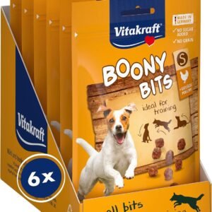 81LNX5EhH5L. AC SL1500 .jpg