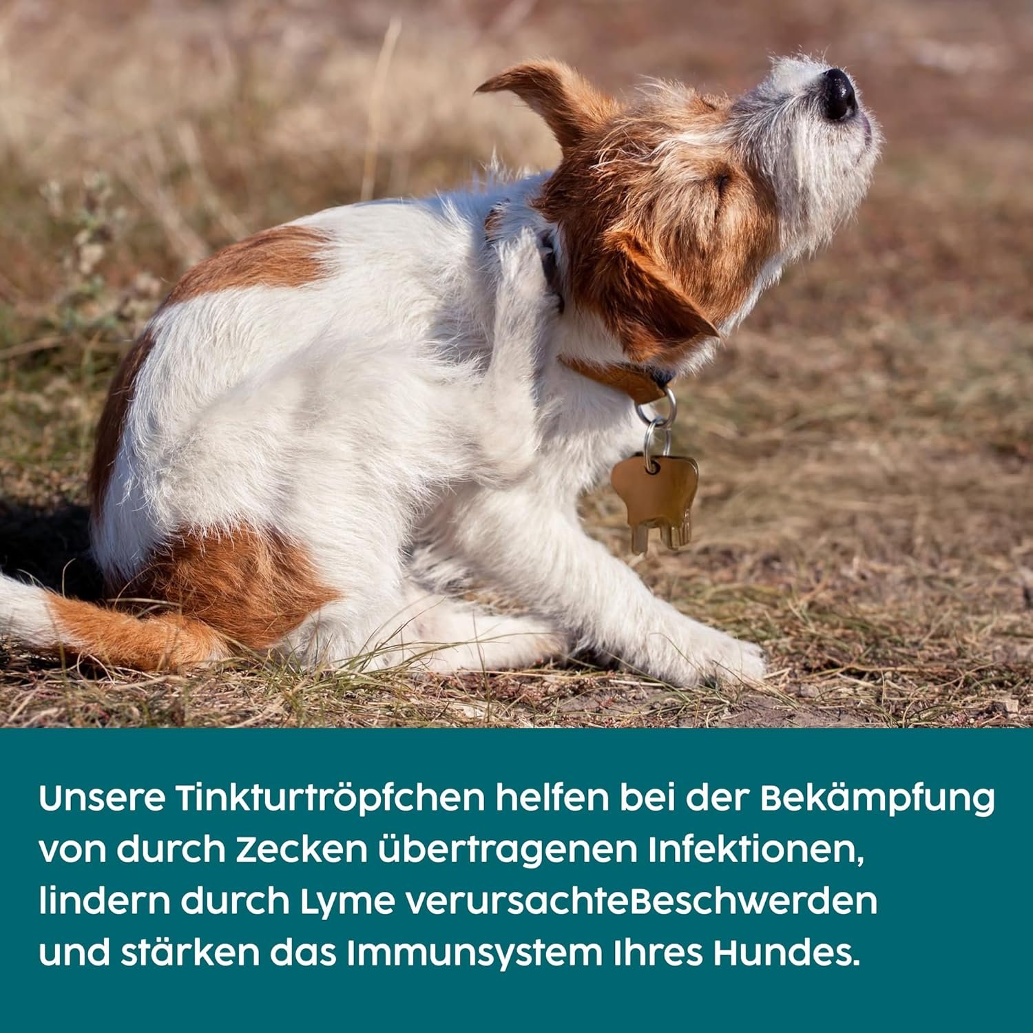 81LV4HncBwL. AC SL1500 .jpg