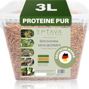 81LfjpA NPL. AC SL1500 .jpg