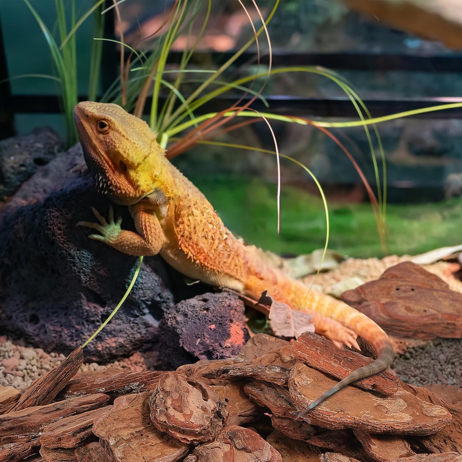 81M4gIrYYnL. AC SL1500 .jpg