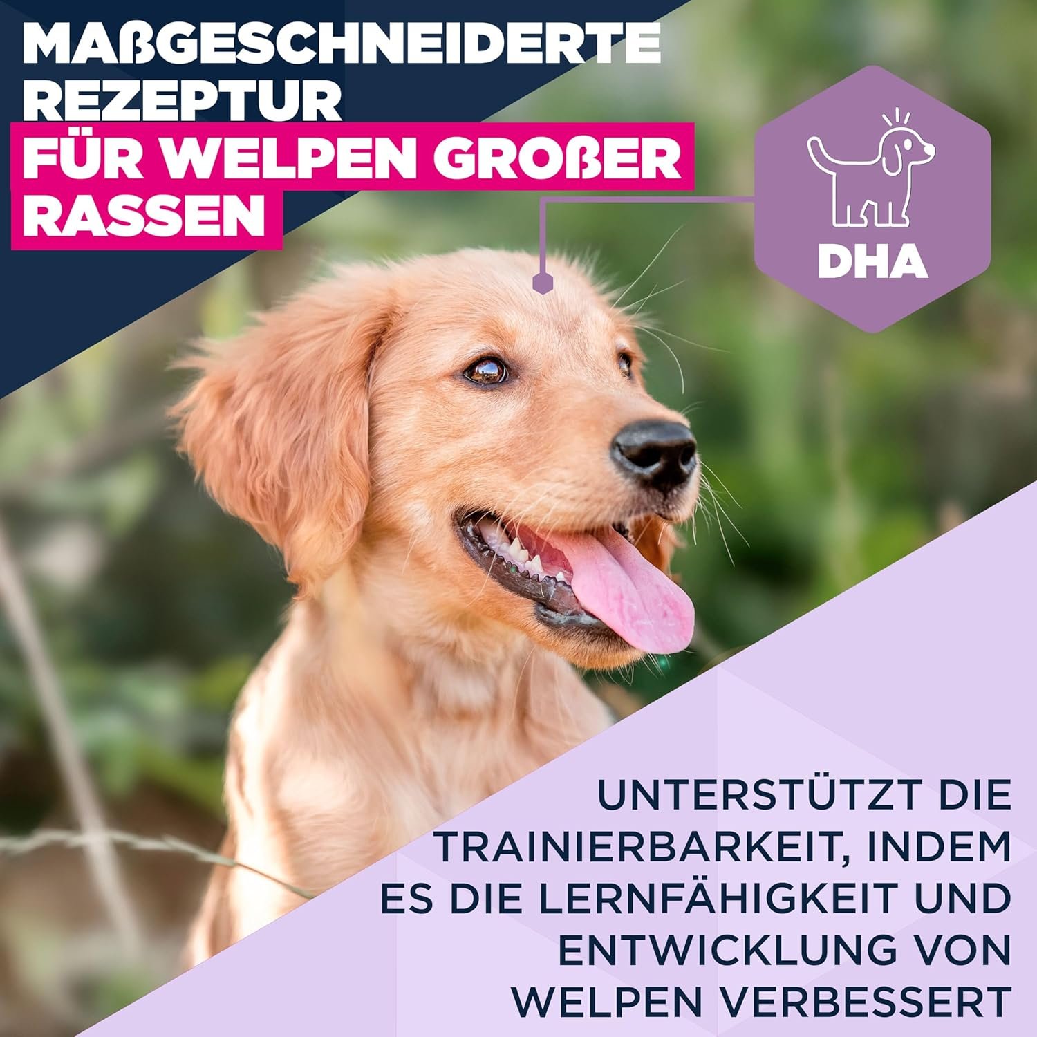 81MIBpQf0wL. AC SL1500 .jpg