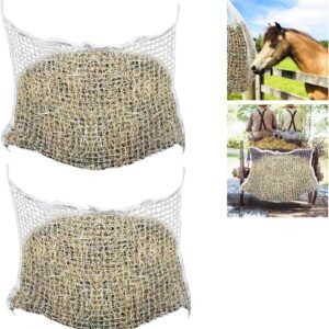 81MOm8l3NQL. AC SL1500 .jpg