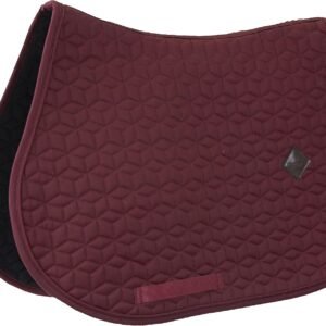 81MU9oG6zGL. AC SL1500 .jpg