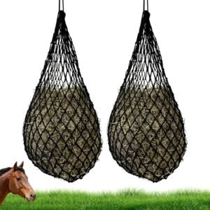 81MZ 5GUHdL. AC SL1500 .jpg