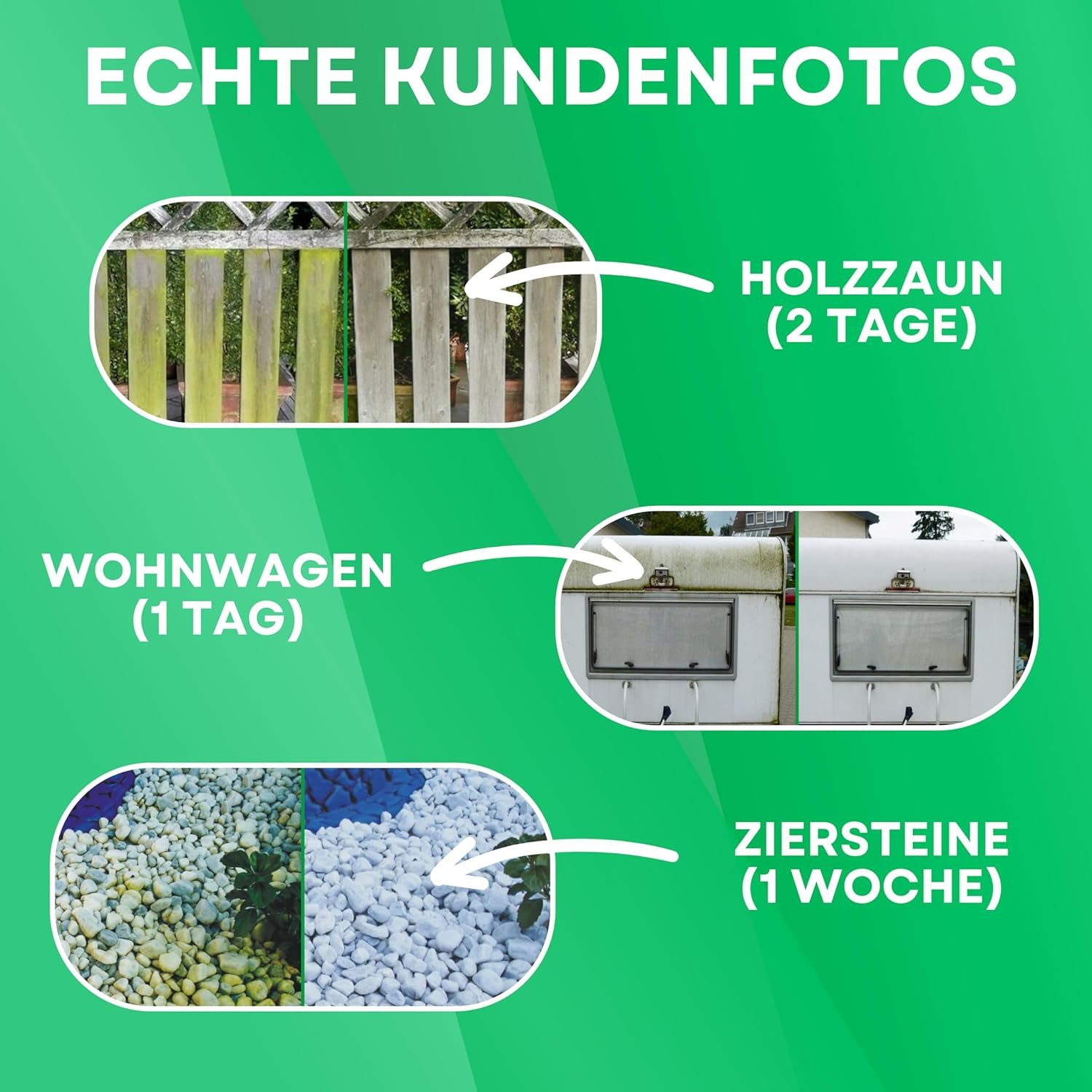 81Mxp91LhJL. SL1500 .jpg