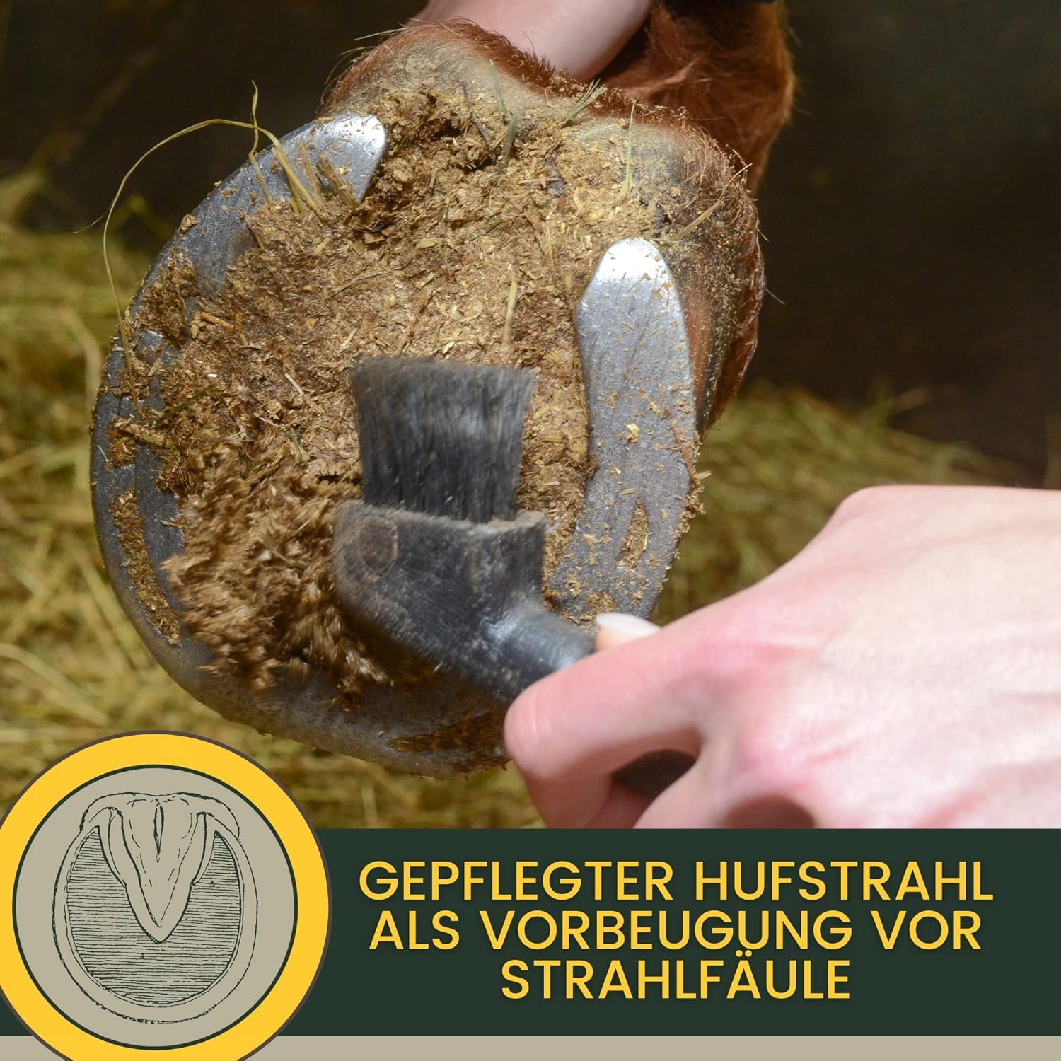 81MyZlgP7AL. AC SL1500 .jpg