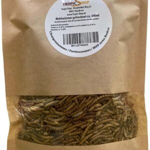 81N CEFQdfL. AC SL1500 .jpg