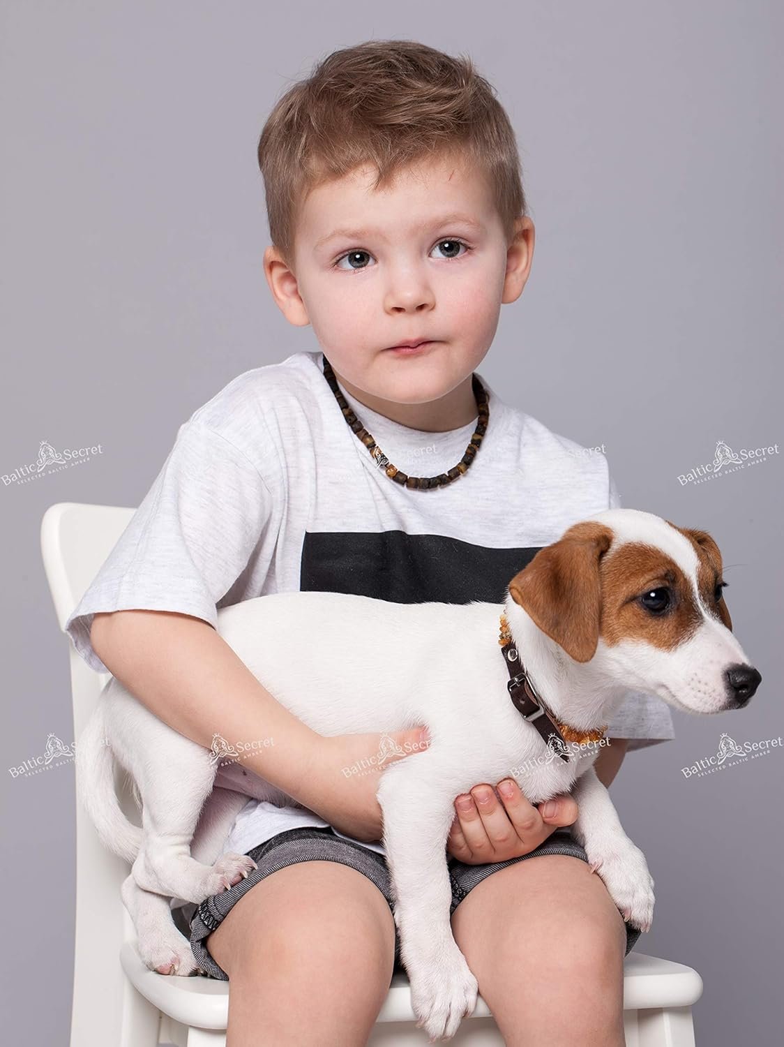 81NB3KGvbmL. AC SL1500 .jpg