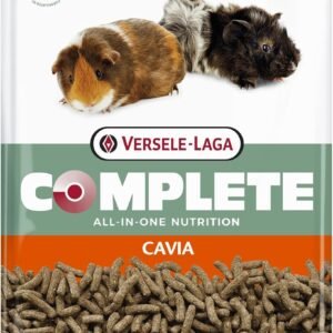 81NF99diCjL. AC SL1500 .jpg