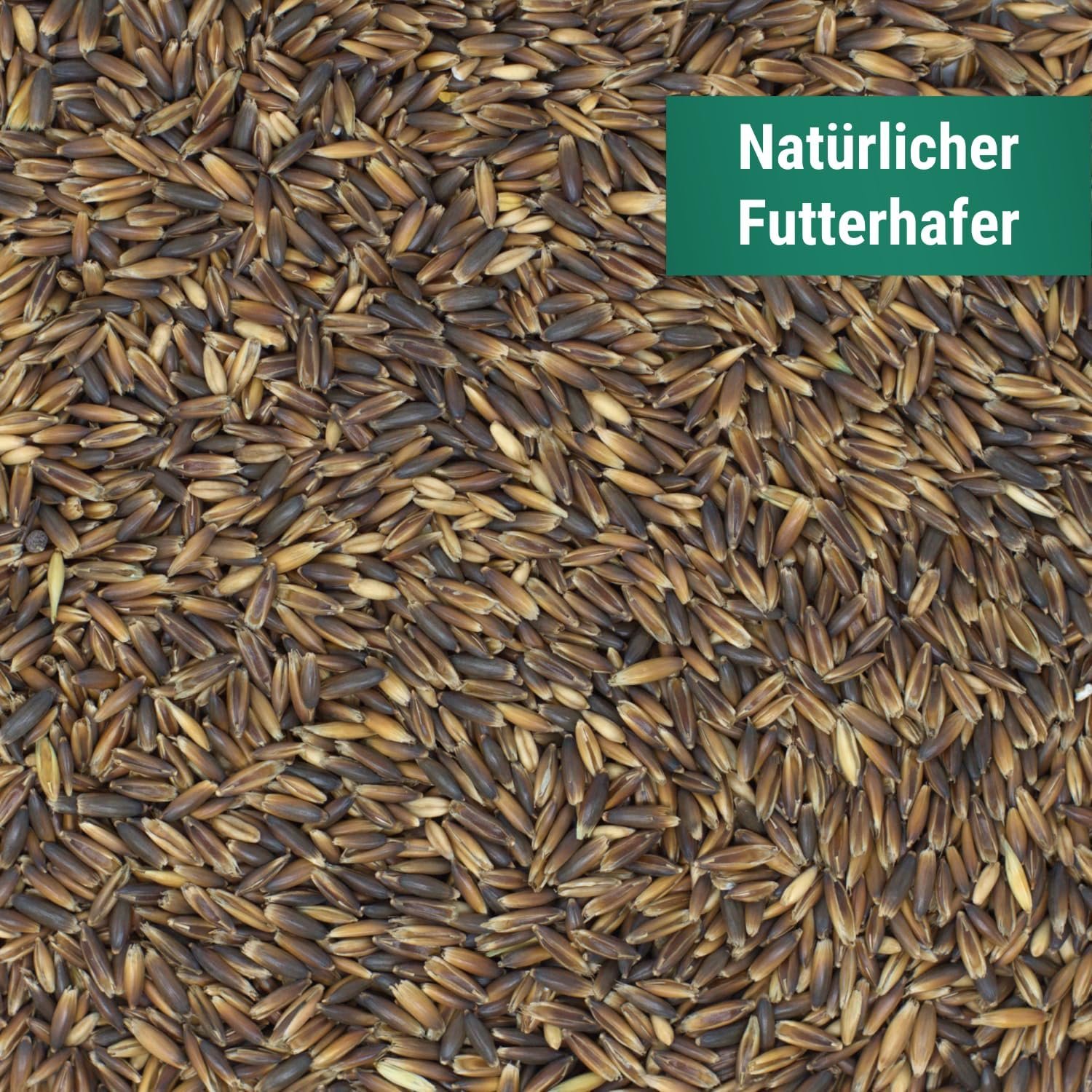 81NjNEjtZ4L. AC SL1500 .jpg