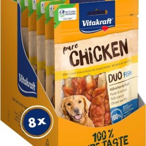 81O0wWXIQOL. AC SL1500 .jpg