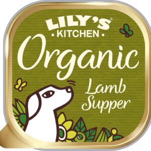 81O4KjgdnJL. AC SL1500 .jpg