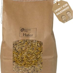 81OKPx6WNnL. AC SL1500 .jpg