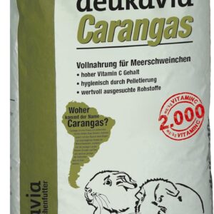 81Ox9V2jzKL. AC SL1500 .jpg