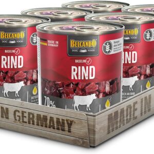 81Ozgf41N0L. AC SL1500 .jpg