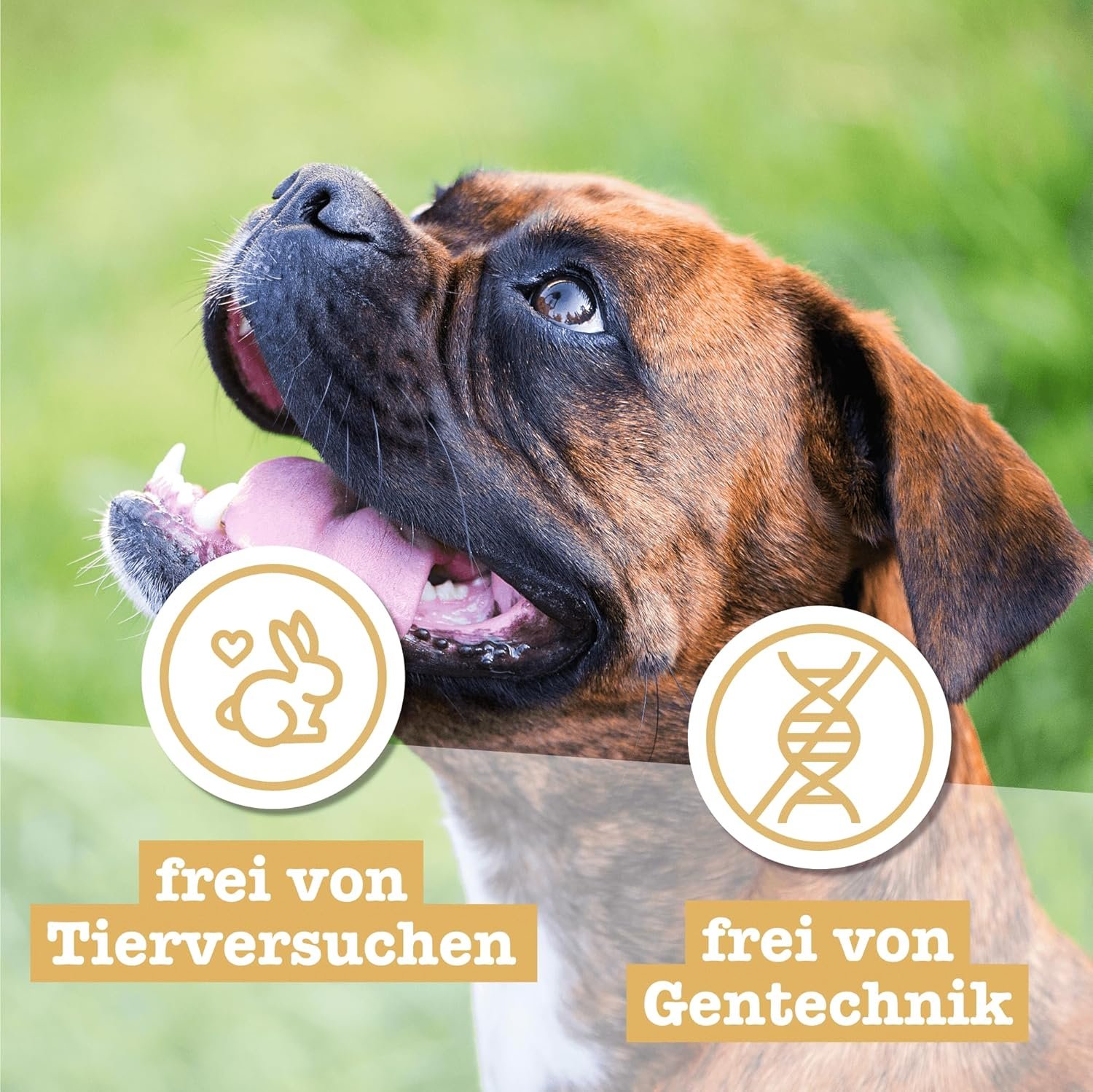 81P57SkfCvL. AC SL1500 .jpg