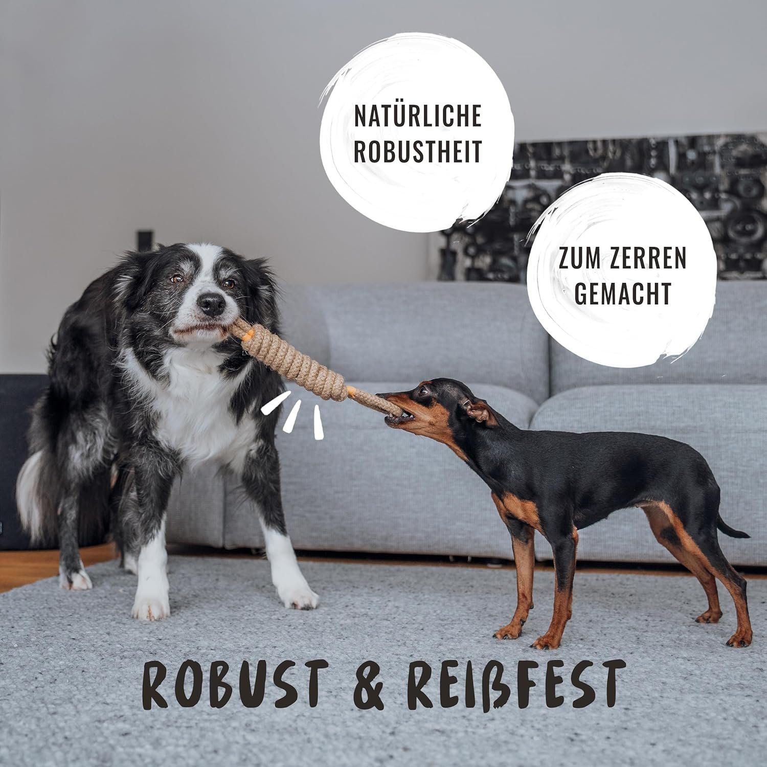 81PbmvXGmKL. AC SL1500 .jpg