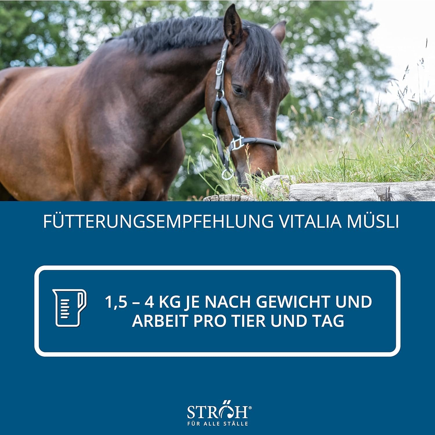 81QKncQLK0L. AC SL1500 .jpg