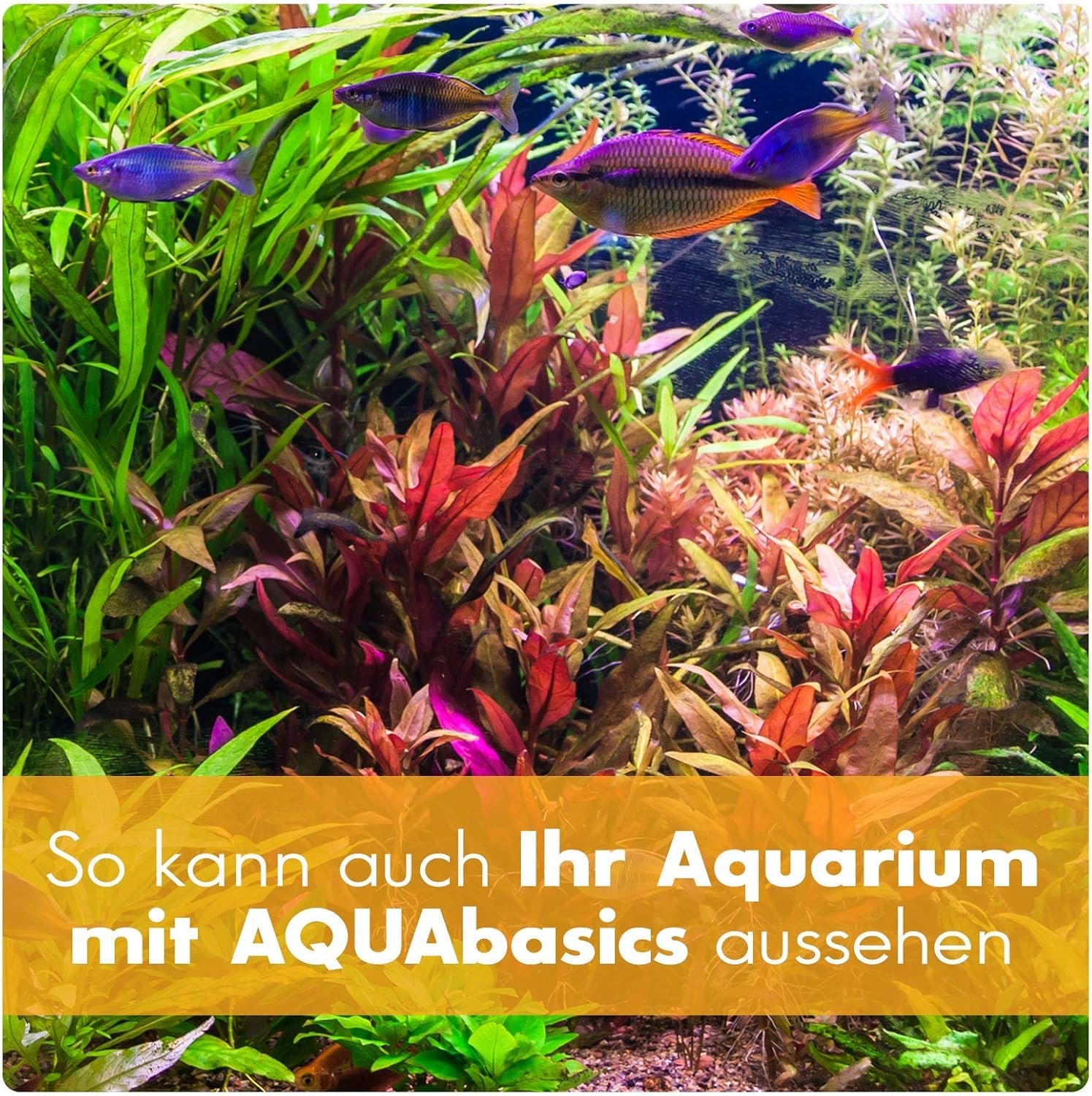 81RTuhkabZL. AC SL1500 .jpg