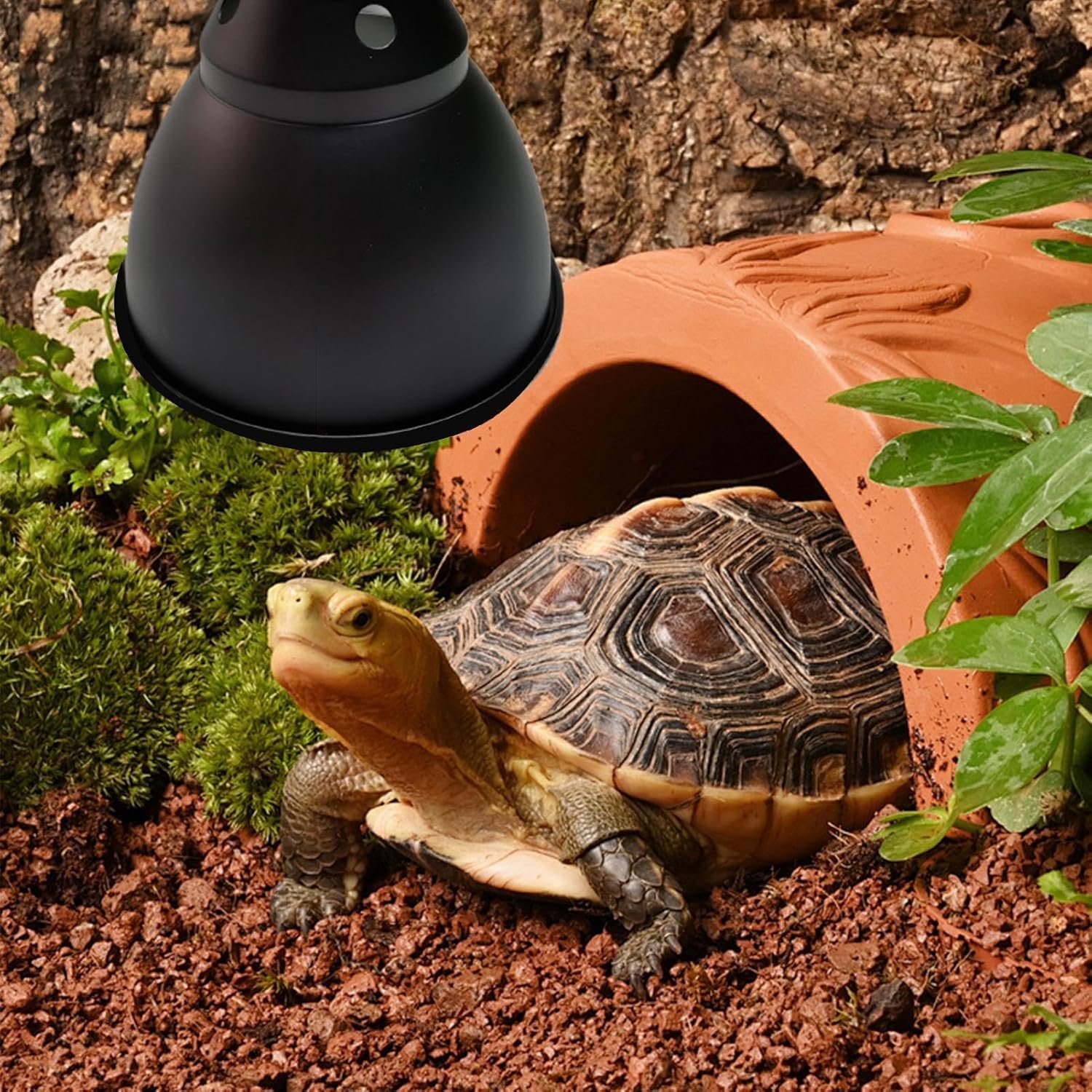 81Re6qNJkSL. AC SL1500 .jpg