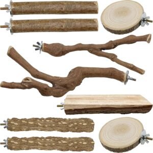 81S slVBFyL. AC SL1500 .jpg