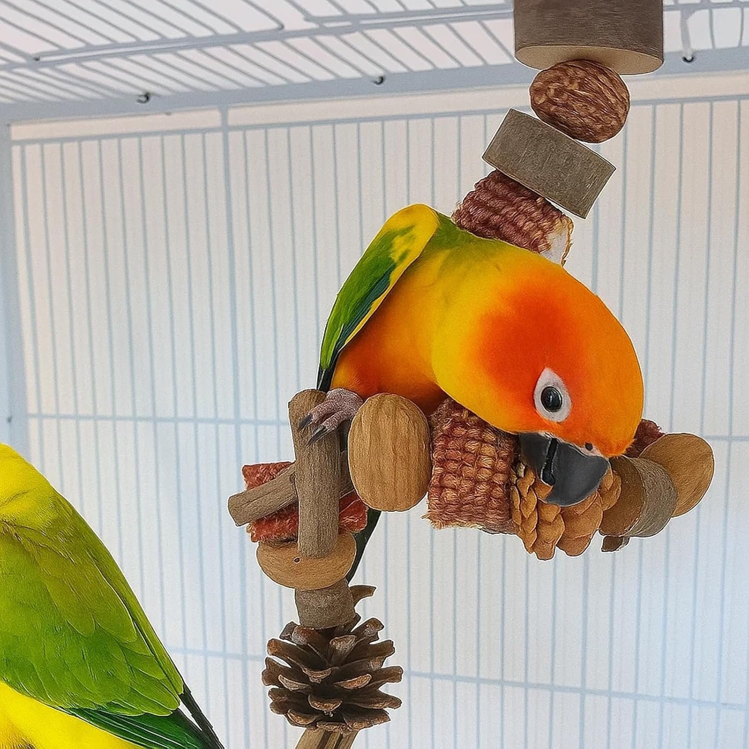 81S5jDz6RL. AC SL1500 .jpg