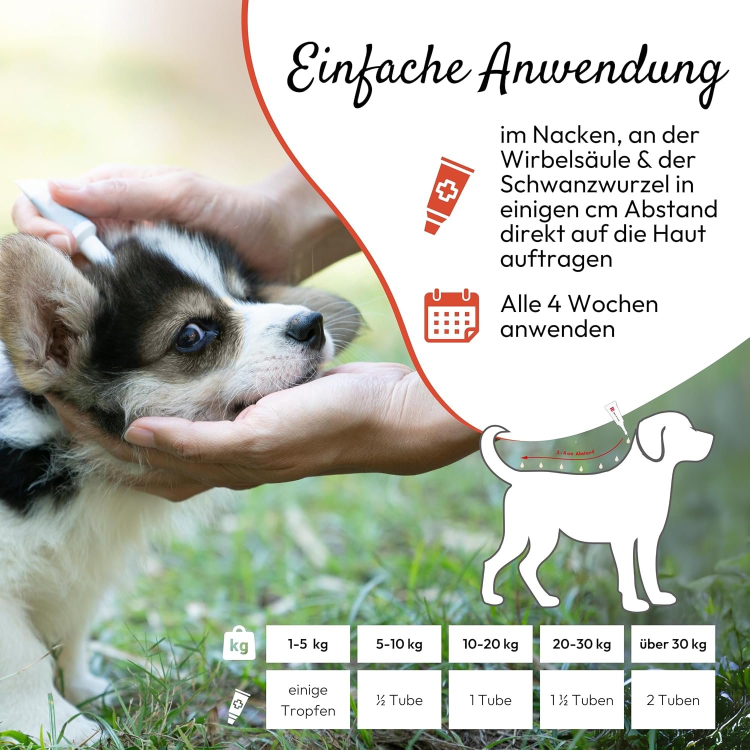 81SvEMakE4L. AC SL1500 .jpg