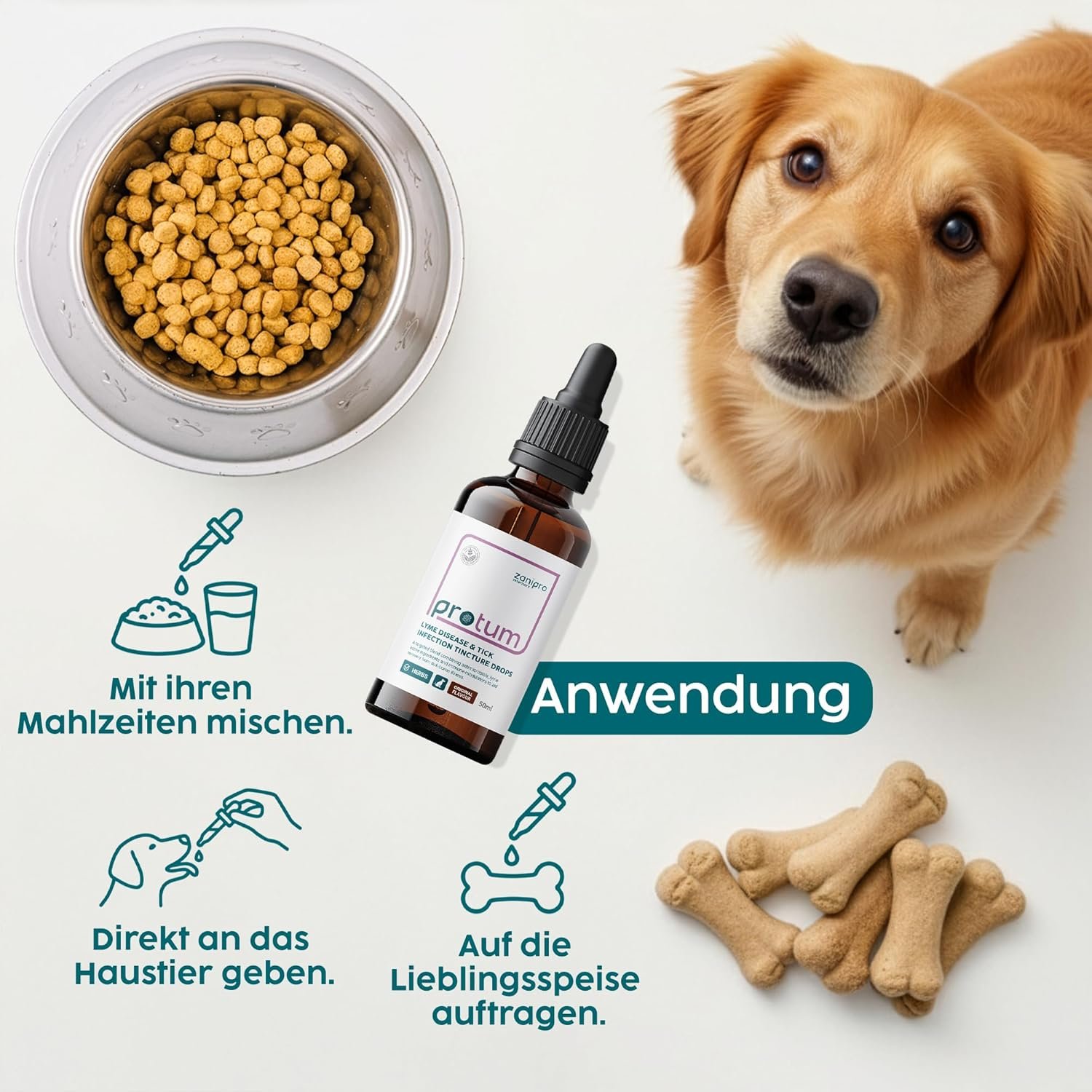 81TDJfyZteL. AC SL1500 .jpg