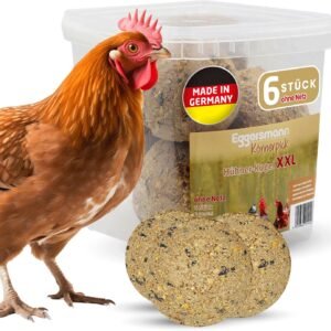 81TOO9zjn6L. AC SL1500 .jpg