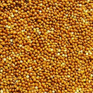 81TU5TOk2mS. AC SL1500 .jpg