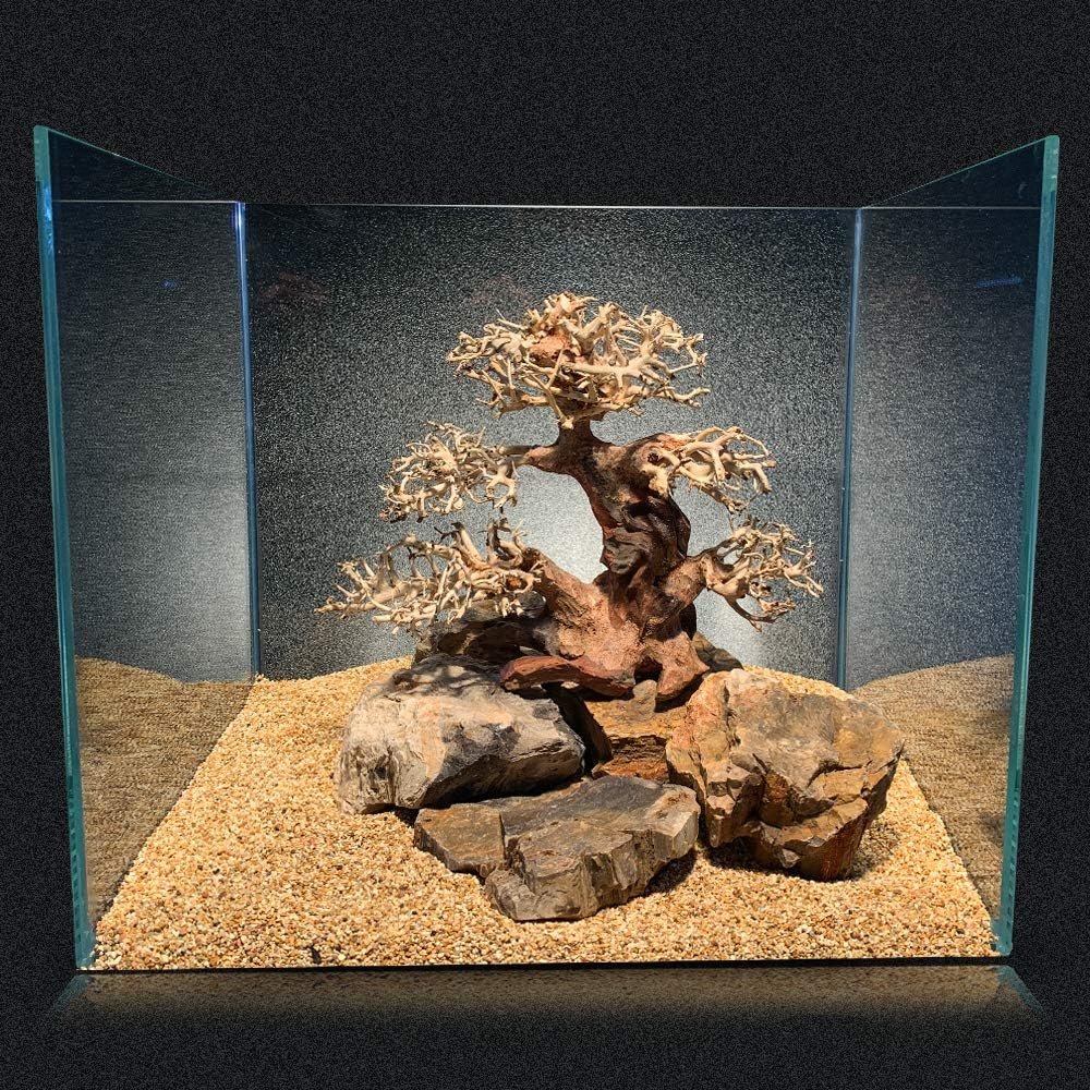 81TePiUZw6L. AC SL1000 .jpg