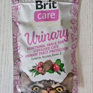 81TqAUcudOL. AC SL1500 .jpg