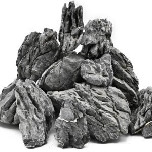 81TzzASKOHL. AC SL1500 .jpg