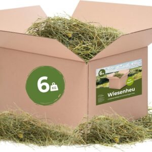 81U8HdAskBL. AC SL1500 .jpg