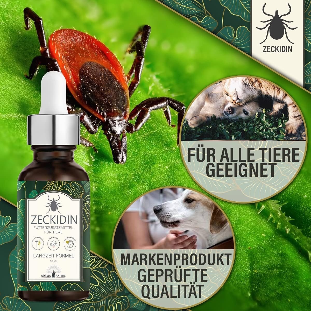 81UBwjib49S. AC SL1200 .jpg