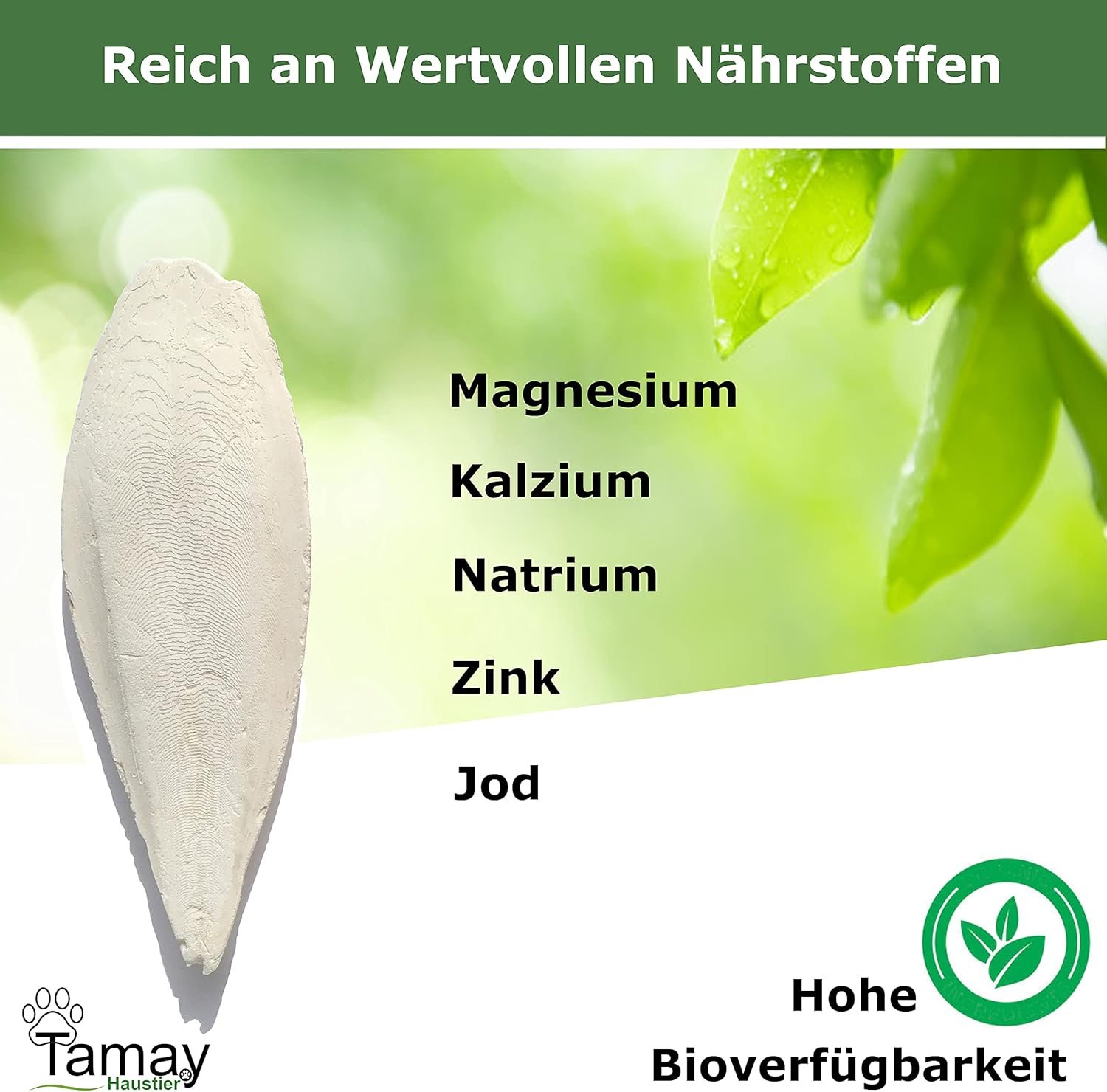 81UC1GUv4S. AC SL1500 .jpg