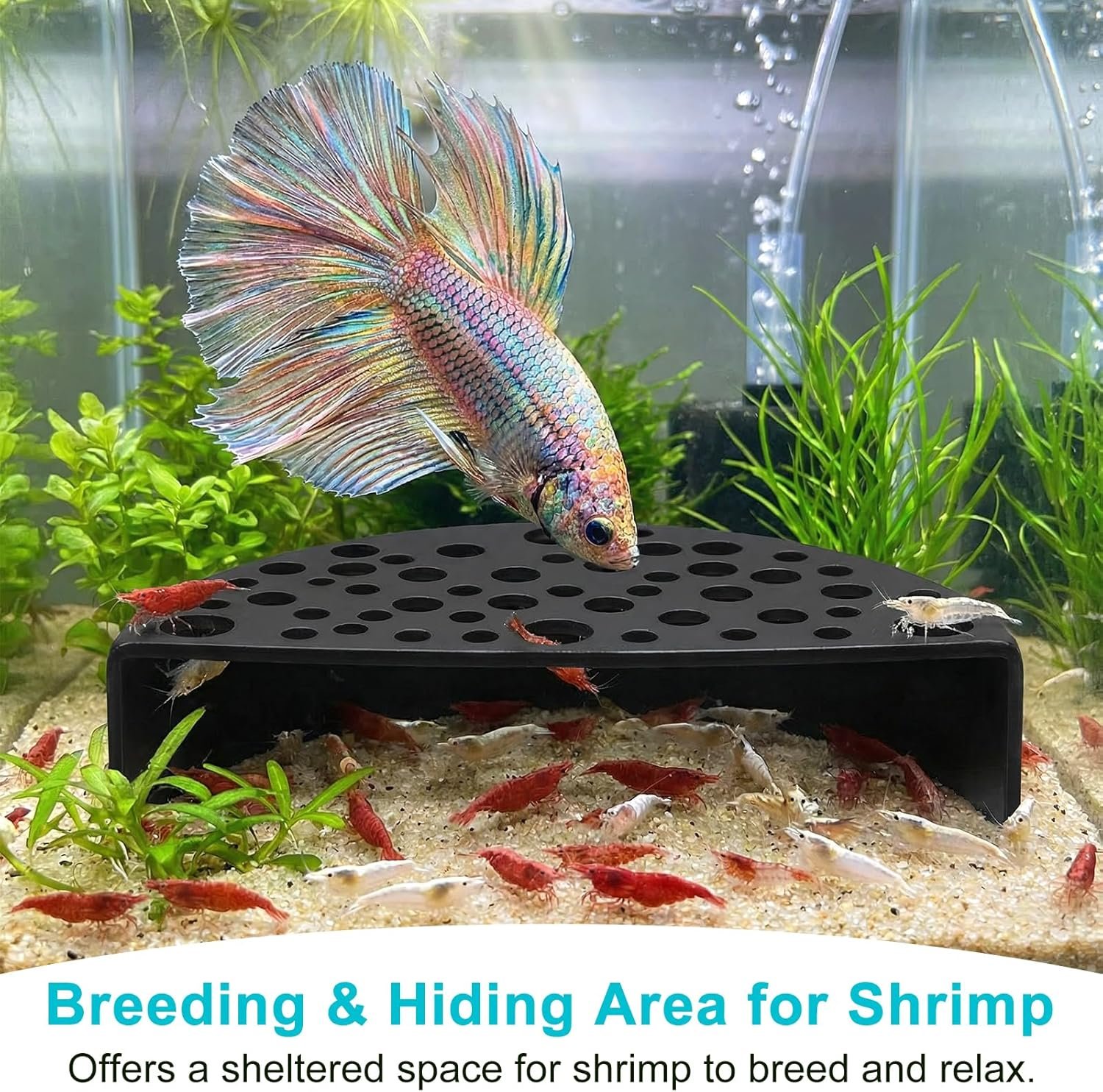 81UGe9MLKsL. AC SL1500 .jpg