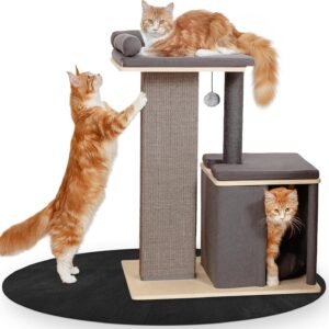 81UMNyEANaL. AC SL1500 .jpg